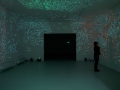 Charles Sandison, Installation view of "Cryptozoology" at Arndt & Partner Berlin, 2010, 6 channel data projection 