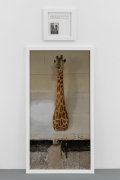 Sophie Calle, The Giraffe, from the series: Les Autobiographies, 2012, Color photograph, aluminum, text, frames, 205 x 110 cm + 50 x 50 cm / 6.8 feet x 43 1/4 inches + 20 x 20 inches, Number 3 from an edition of 5 + 1AP in English (5 + 1 AP in French) # CALL0355 