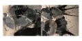 Arin Dwihartanto Sunaryo, Merapi Volcanic Ash #13, 2013, Merapi Volcanic ash, pigmented resin mounted on wooden panel Dyptich, 142,5 x 361 cm | 56.1 x 142.13 in # SUNA0001 
