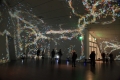 Charles Sandison, Multimedia installation by Charles Sandison at Denver Art Museum, 2010 